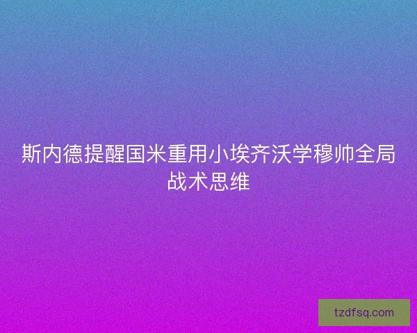 斯内德提醒国米重用小埃齐沃学穆帅全局战术思维