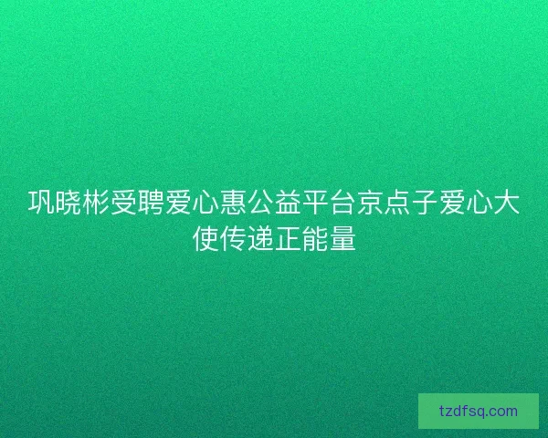 巩晓彬受聘爱心惠公益平台京点子爱心大使传递正能量